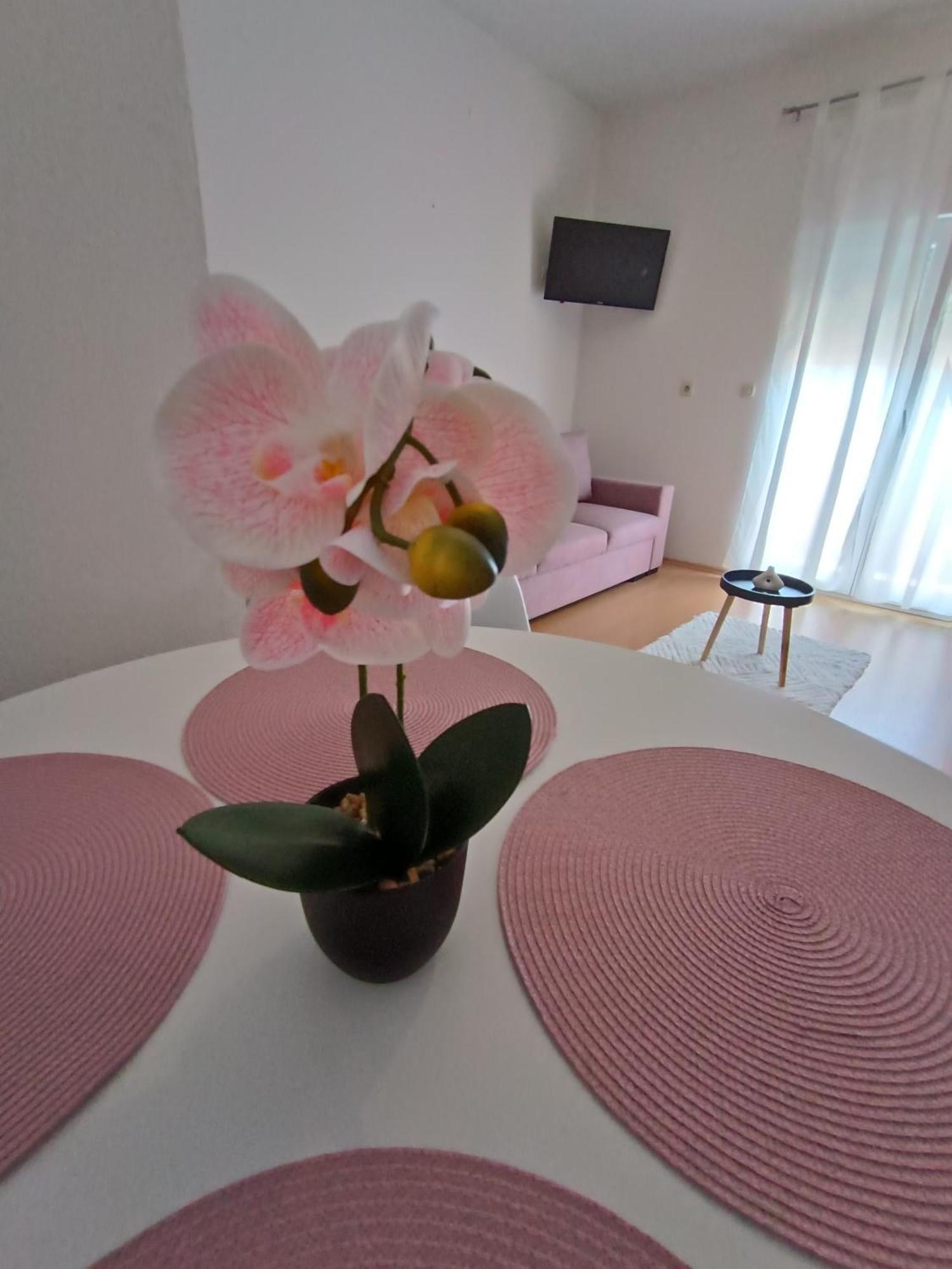 Apartman Lea Sukošan المظهر الخارجي الصورة